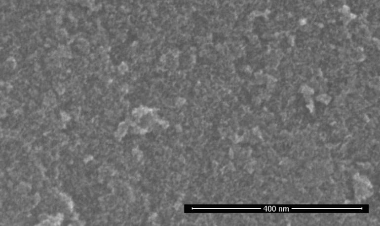 SEM image of MCP